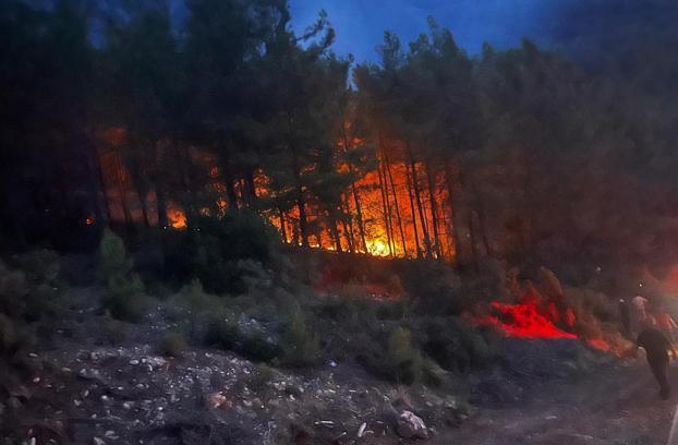 Orman yangınında 7 dönüm zarar gördü