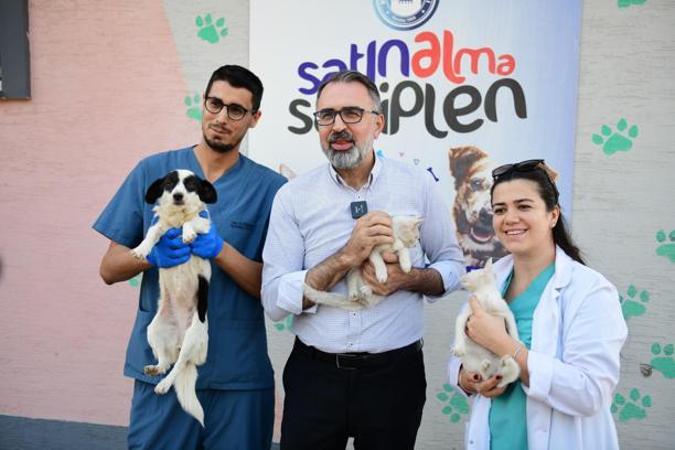 Kestel Belediyesi’nden sokak hayvanları için ‘Sahiplen Kestel’ platformu