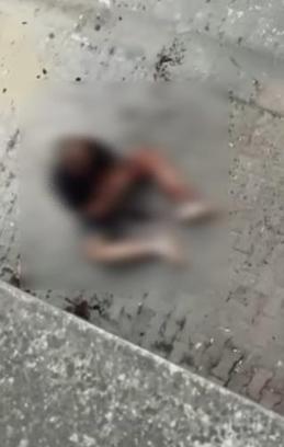 Zeytinburnu'nda sokakta alkol alan grup arasında çıkan kavgada 1 kişi yaralandı
