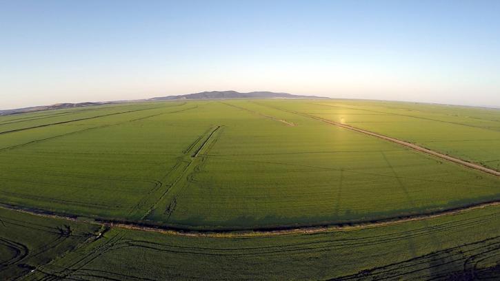 Edirne’de son 2 yıl kuraklık nedeniyle düşen çeltik ekim alanı, bu yıl 500 bin dekara çıktı