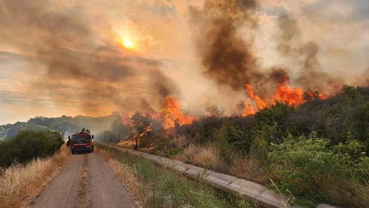 Çanakkale'de 3 gün süreyle biçerdöver ve balya makinesi kullanımı yasaklandı