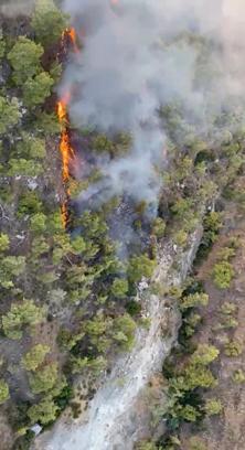 Antalya'da orman yangını