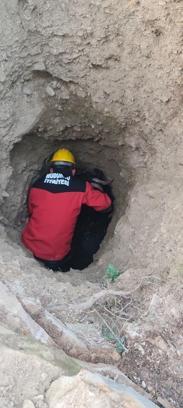 Kuyuya düşen keçiyi itfaiye kurtardı