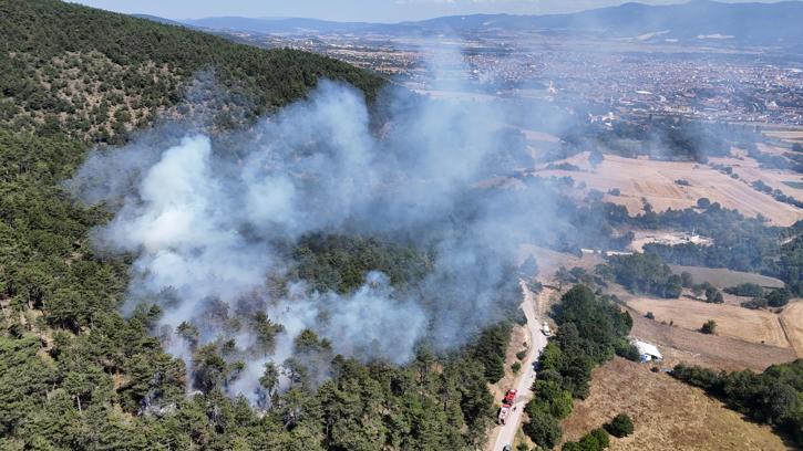 Bolu'da orman yangını