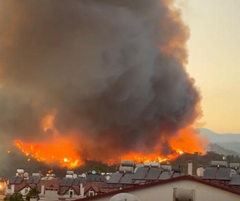 Muğla’da orman yangını