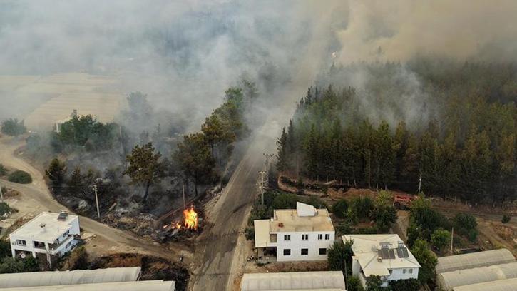 Seydikemer'de tarım arazisinde çıkan yangın, Kaş'ta ormana sıçradı