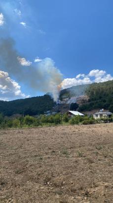 Bursa'da orman yangını