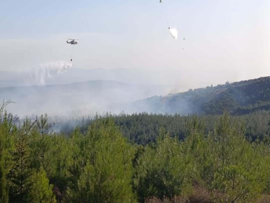 Çanakkale’de orman yangını / Ek fotoğraflar