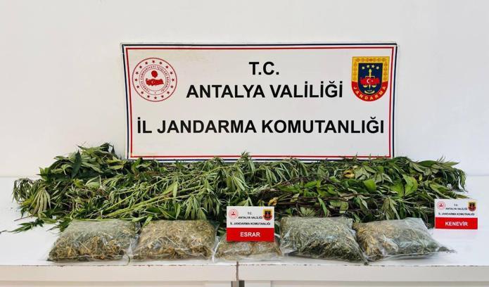 Uyuşturucuya 1 gözaltı