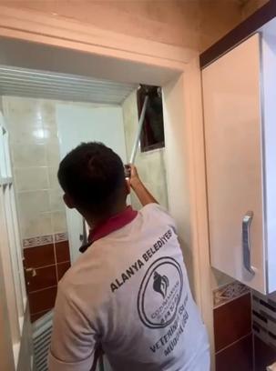 Apartmanın havalandırma bacasına düşen kedi kurtarıldı
