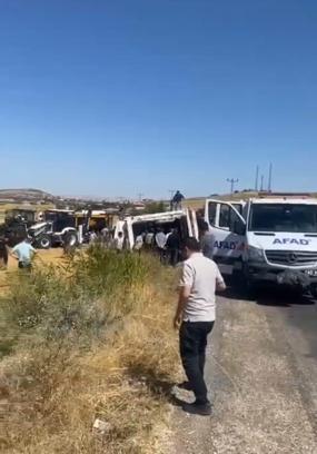 Kırşehir'de TIR devrildi: 4 büyükbaş hayvan öldü