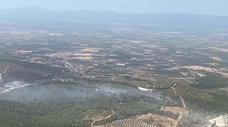 Manisa'da orman yangını