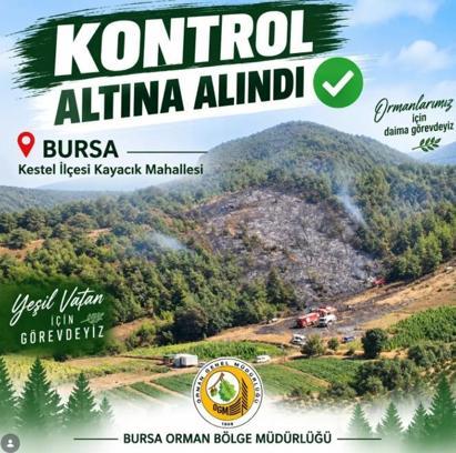 Bursa’da orman yangını (3)