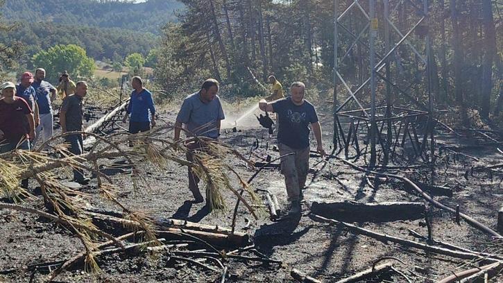 Yüksek gerilim hattında akıma kapılan kuş, orman yangınına neden oldu