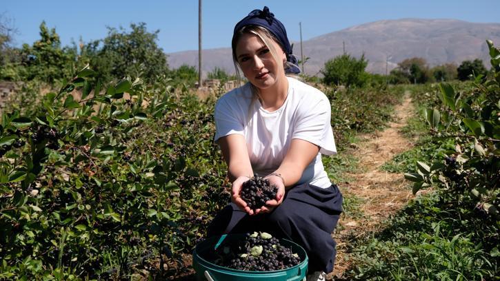 Dondurma yerken tanıştığı aronya bitkisinin üreticisi oldu