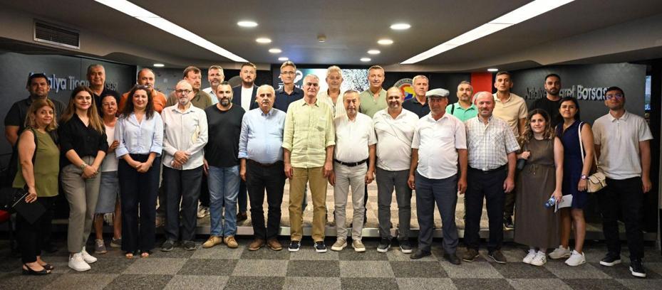 Zeytinde rekolte beklentisi yüzde 40 arttı