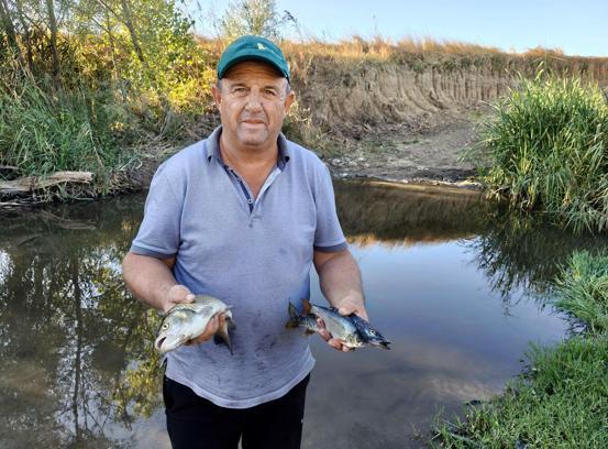 Tekirdağ'da derede toplu balık ölümlerine inceleme