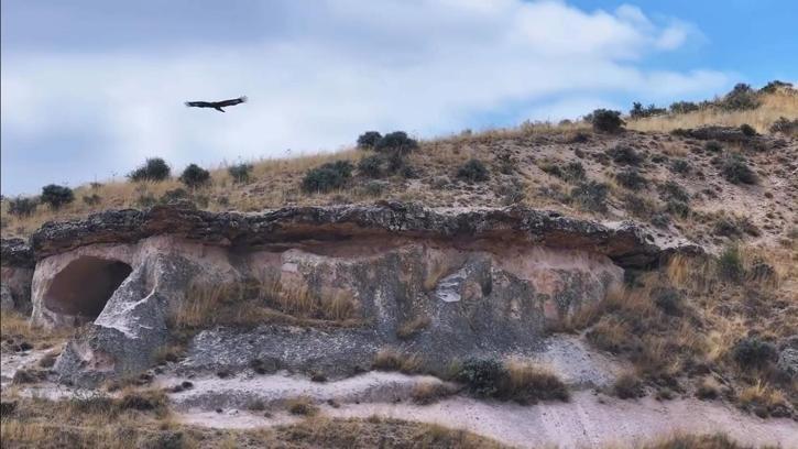 Kırşehir’de kaya kartalı görüntülendi