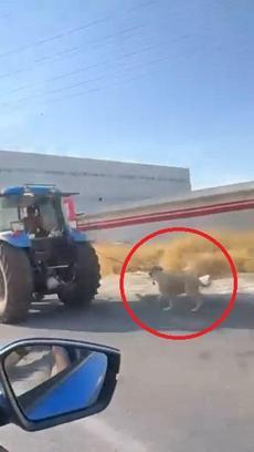 Köpeği traktöre iple bağlayıp koşturdu