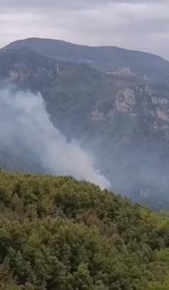 Hatay'da orman yangını