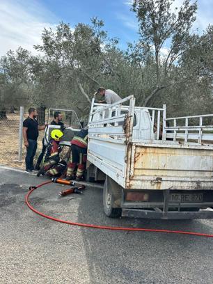 Kamyonete giren eşek arısı, kazaya neden oldu: 2 yaralı