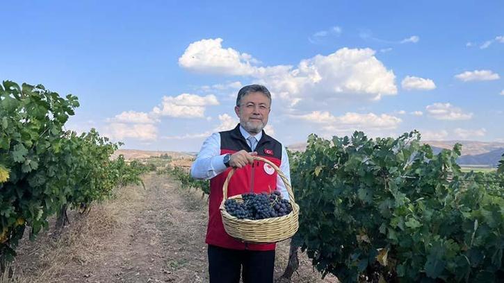 Bakan Yumaklı: Bu sene 3 milyon 850 bin tonluk bir üzüm üretimi gerçekleşecek