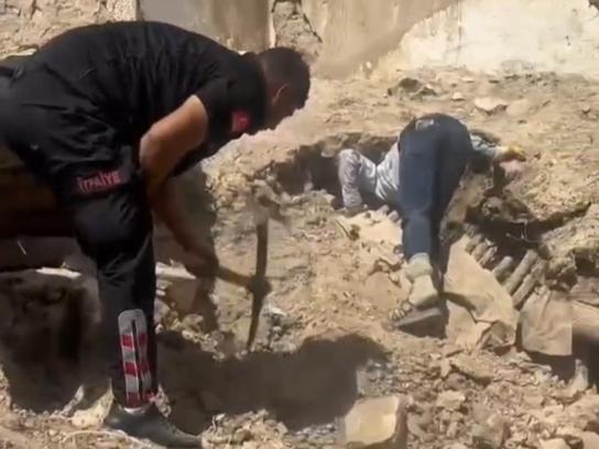Nusaybin’de metruk ev çöktü; 5 yavru köpek ve anneleri kurtarıldı