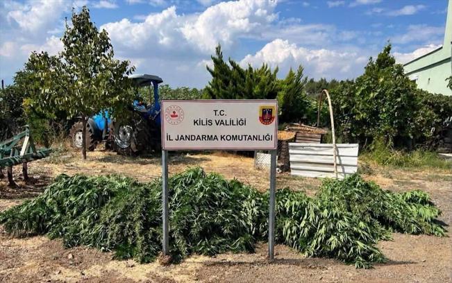 Kilis'te 40,5 kilogram esrar ele geçirildi; 1 gözaltı