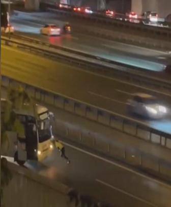 Sultangazi'de arızalanan midibüsü yol kenarına iten kadın polis kamerada
