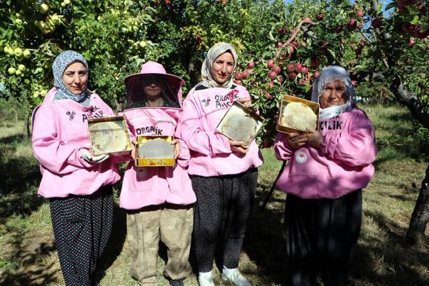 'Pembe maskeli’ kadın arıcılar hasada başladı
