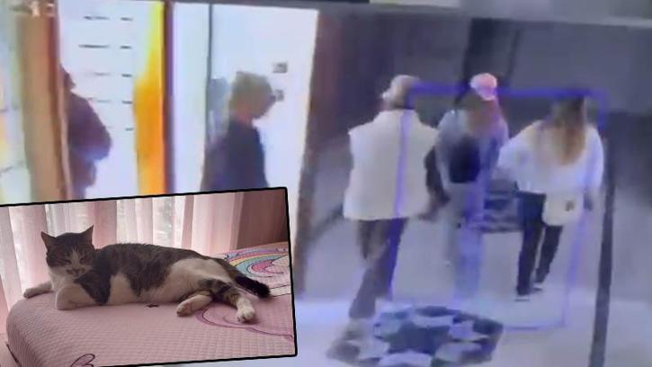 Küçükçekmece'de 12'nci kattaki daireye 'Mucize' sayesinde giremediler; şüphelilerin kediden kaçtığı anlar kamerada