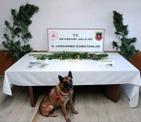 Nevşehir'de uyuşturucu operasyonu