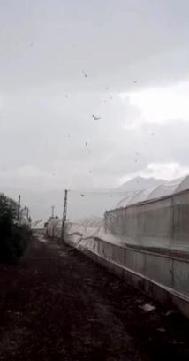 Kuvvetli rüzgar seralara zarar verdi, denizde hortum oluştu