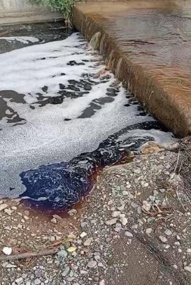 Yalova açıklarında deniz yüzeyi kırmızıya boyandı