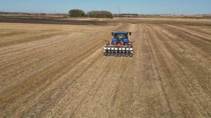 Tekirdağ'da 170 dönüm anıza kanalo ekildi