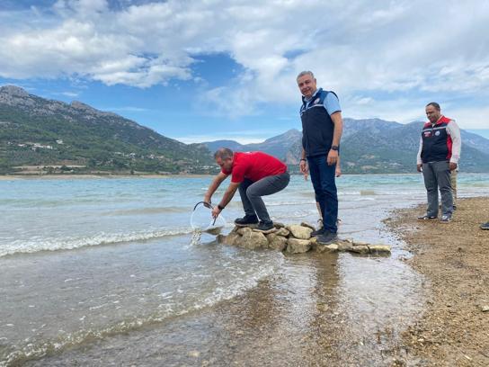 Kozan'da yavru sazanlar su kaynaklarıyla buluşturuldu