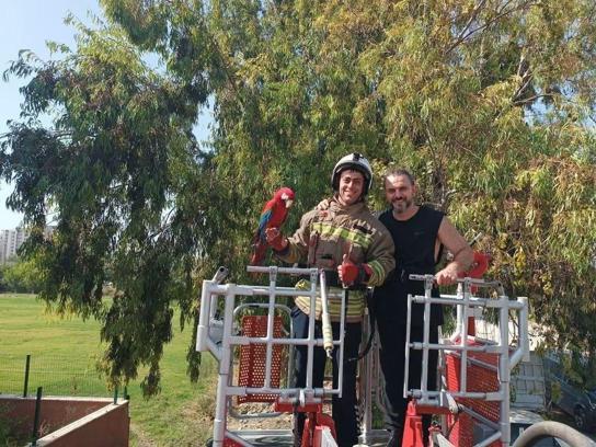 Kafesinden kaçan papağan sahibine teslim edildi
