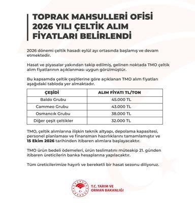 TMO çeltik alım fiyatları belirlendi