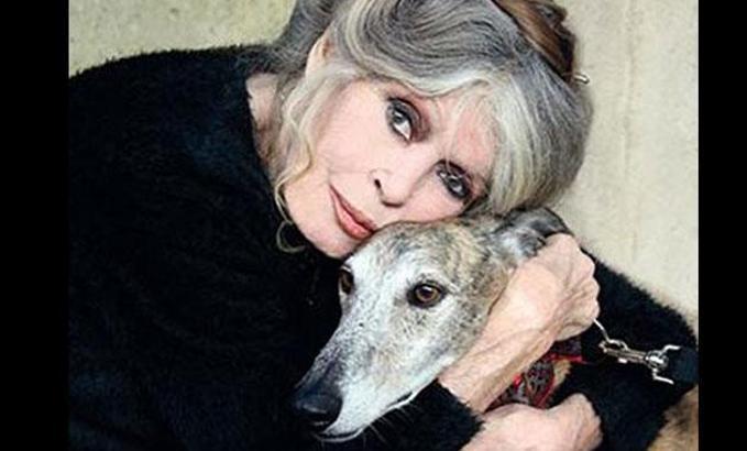 Brigitte Bardot: #MeeToo kadınları sadece ünlü olmak istiyor