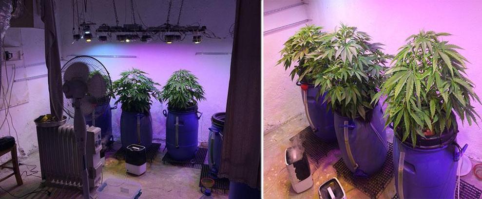 Çanakkale’deki köyde her ayrıntısı düşünülen esrar laboratuarı bulundu