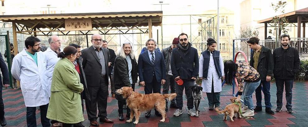 Cihangir'de sokak köpekleri için 'Pati Park' açıldı