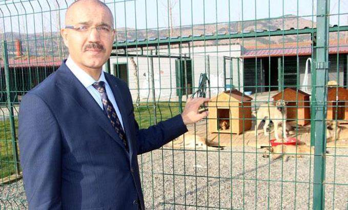 Turhal'a 1 milyon lira maliyetli hayvan barınağı yapıldı