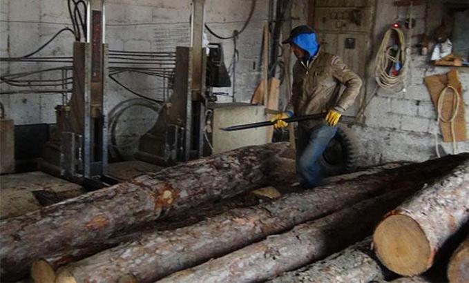 Simav'da 'kerestecilik' kan kaybediyor