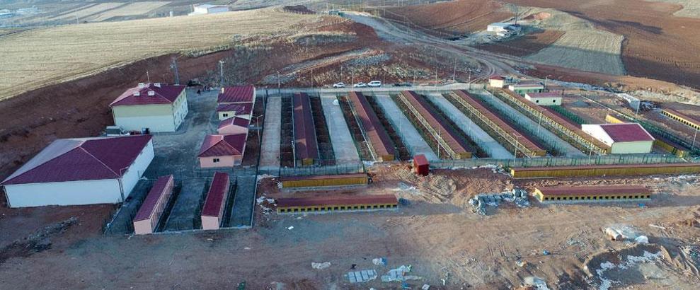 Sivas'a 5 yıldızlı hayvan barınağı