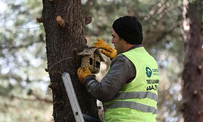 Canik'ten kuşlara merhamet yuvası