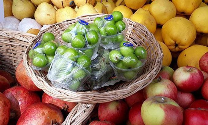 Elazığ'da yeşil erik kilosu 500 liraya satılıyor