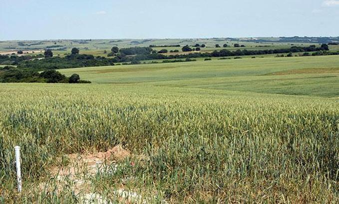 Mahkemeden, tarım arazisinde patlayıcı deposuna ret