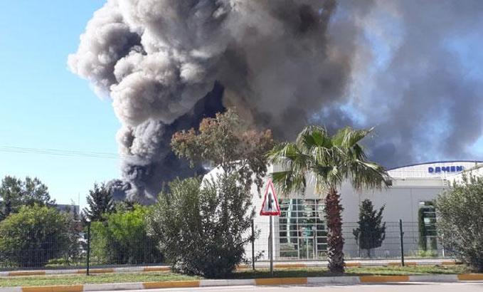 Antalya Serbest Bölge'de büyük yangın