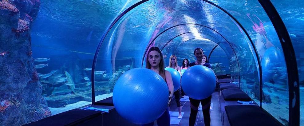 Köpek balıkları eşliğinde pilates dersleri başlıyor