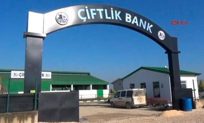FETÖ sanığı Memduh Boydak'tan Çiftlik Bank örneği